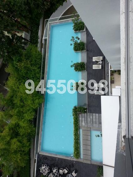 One Tree Hill Residence (D10), Apartment #69402352